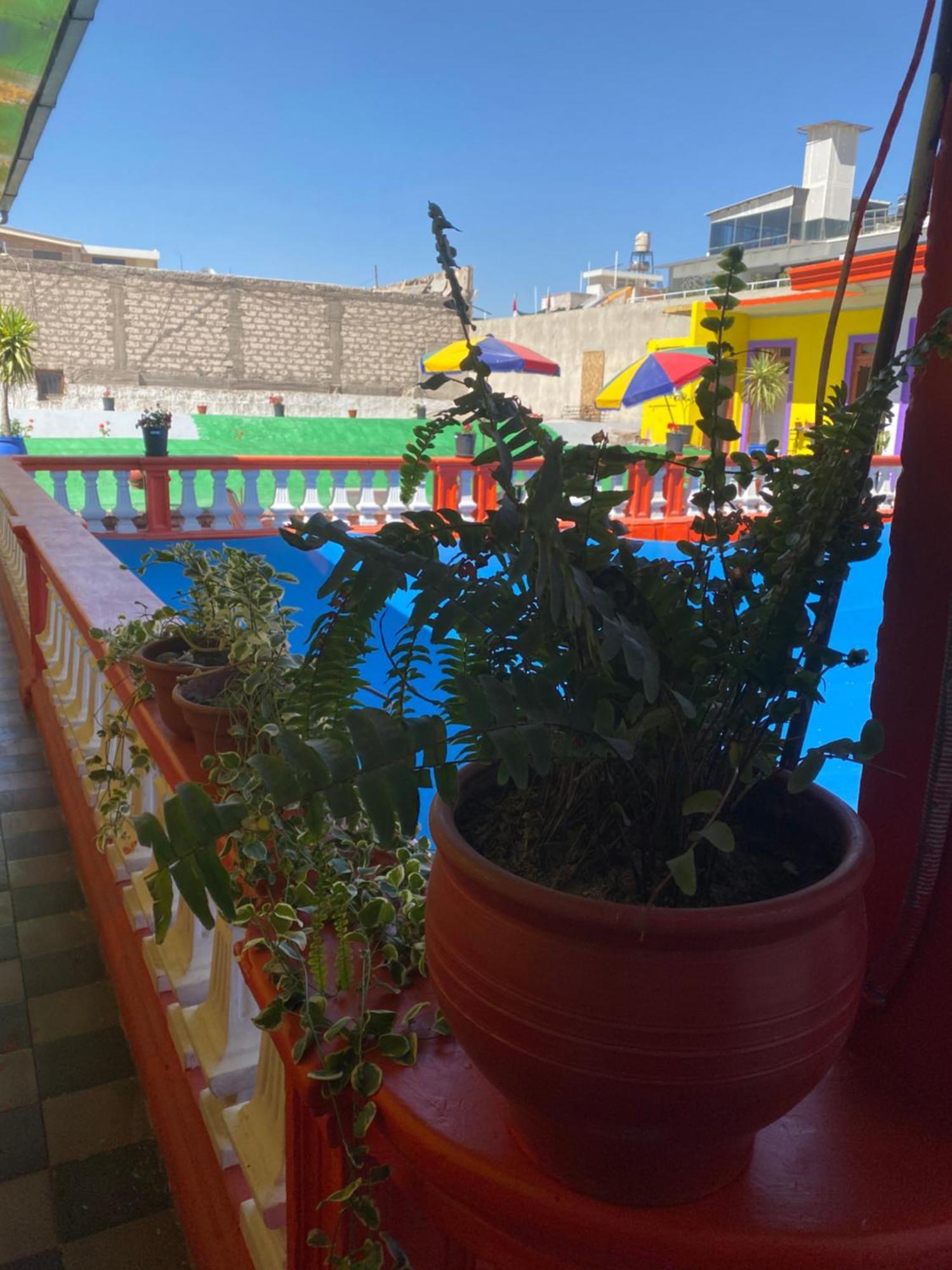 Pusary Hostel 阿雷基帕 外观 照片